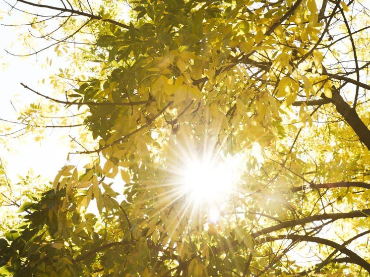 � ���������� ������������� ������ 9 ���� ����� �������� � �����