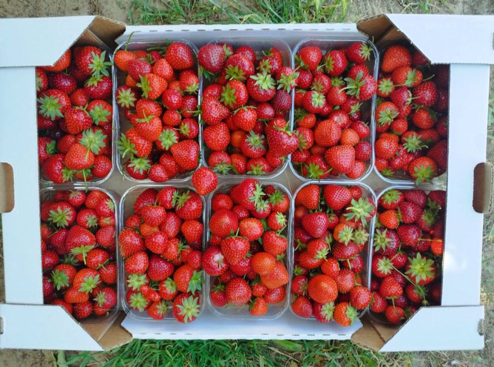 � ����� ������� ����������� ���������� �����