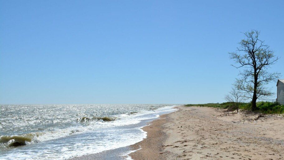 � ��������� ������� ���� �� ������������ �� ������ ��������� ����