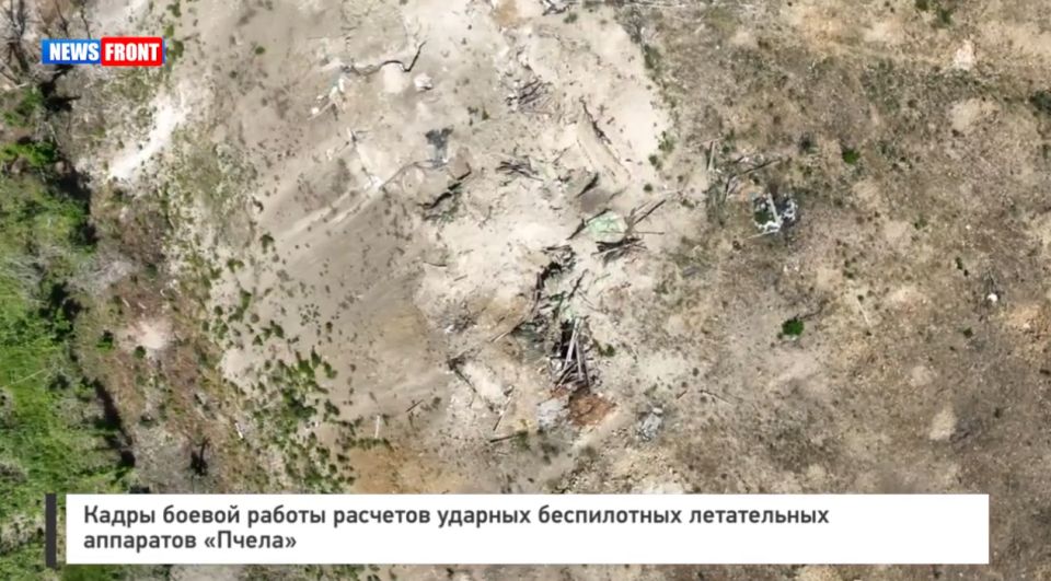 ����� ������ ������ �������� ������� ����������� ����������� ��������� ������