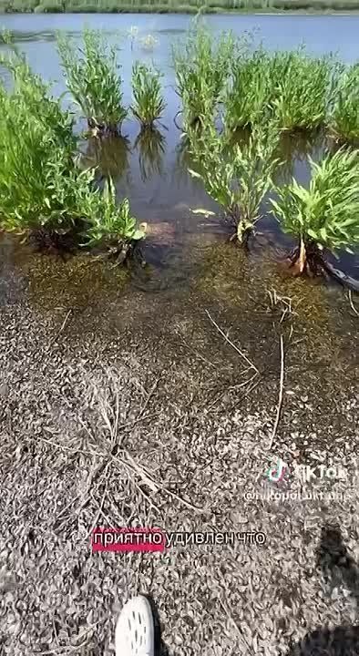 ������ �������� �������, ��� ������ �������� ��������� �������������, ������� �������� ��� ���� �����