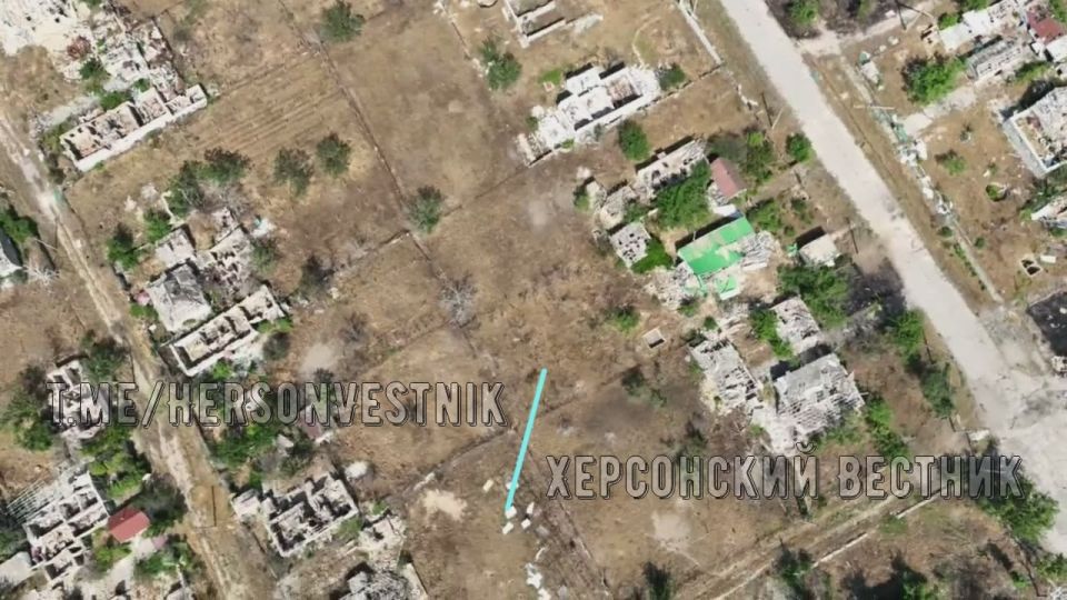 �������������� 49 �� ���������� ������������ ������������ �������������� ���������� ���������� ������� � �.�. ����������