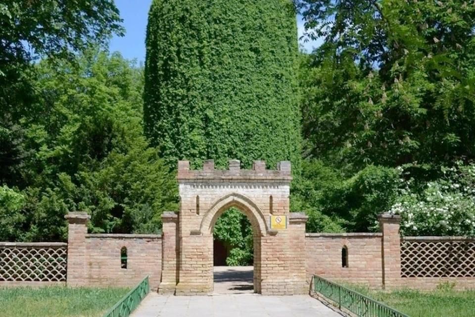 ���������� ��������-���� ����� �������� � ���� ������