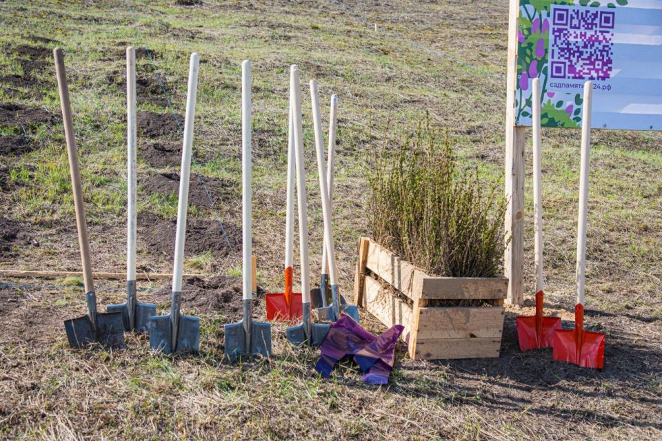 ������ ���������� ������� ���������� ������� � ������ ������������� �����