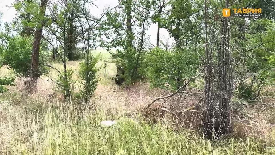 ������������ ����������� ����� "�����" ���������� �������������� ����� � ����� ����� ���