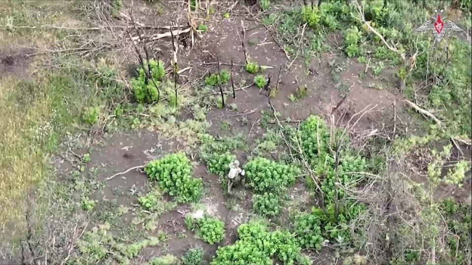 ����������� ��� � ����� ���� ��� ����������� FPV ������