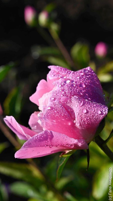 ���������� ������� � �����: ���������� �������� ������ �������� ������� ������� ����