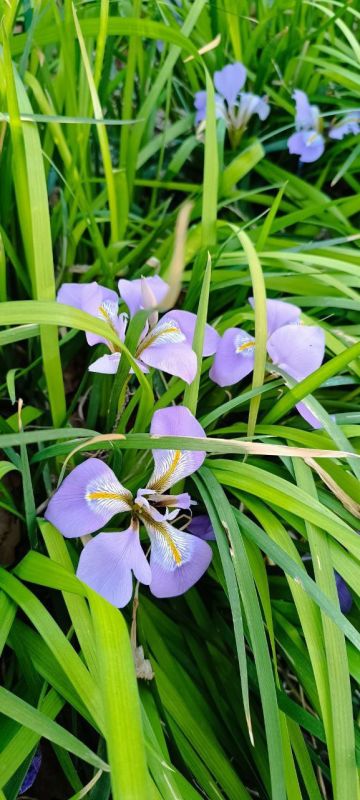 � ������ �����!. �������� ��� �����������, ����������� ������������, ��������� ���������� � �������� ���