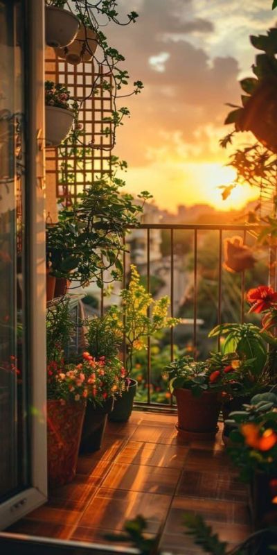 ������� ���� ��������� � ����