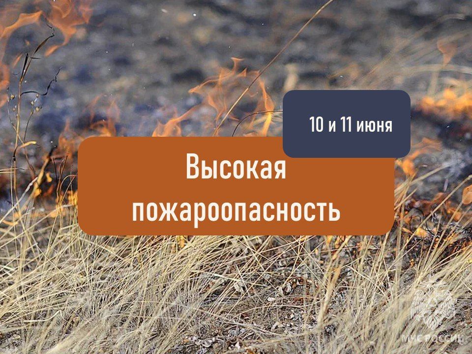 ���: ������� ��������������� ��������� � ���������� ������� 10 � 11 ����