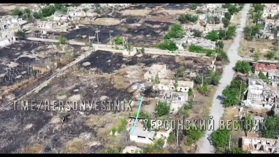 �������������� 49 �� ���������� ������������ ������������ �������������� ���������� ���������� ������� � �.�. ��������