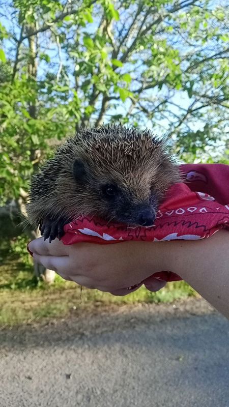 ��� ����� ����� ��������� ���� �������� ���� ������