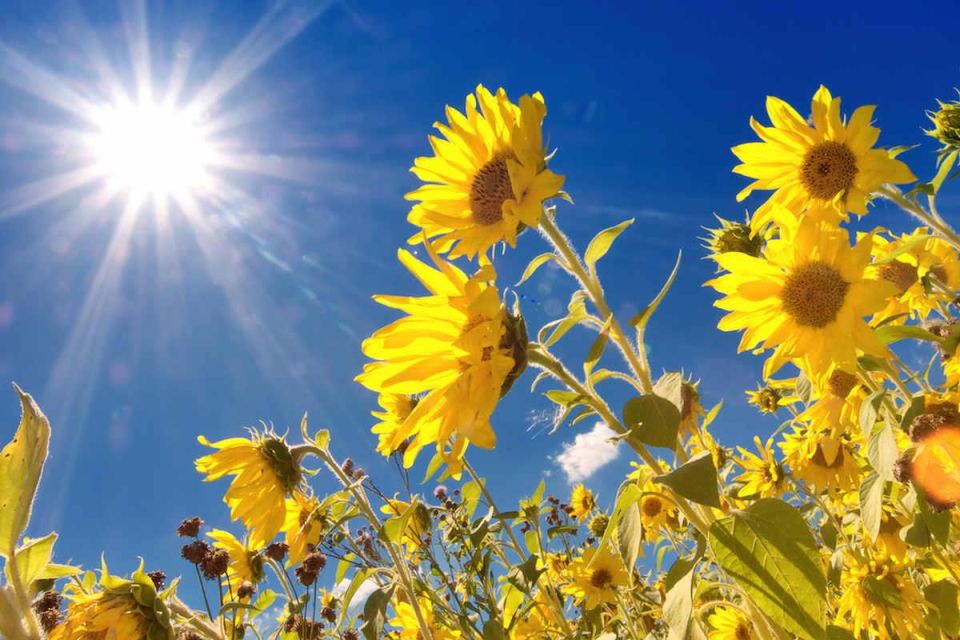 Прогноз погоды в Верхнерогачикском муниципальном округе на 10 июня 2025 года: