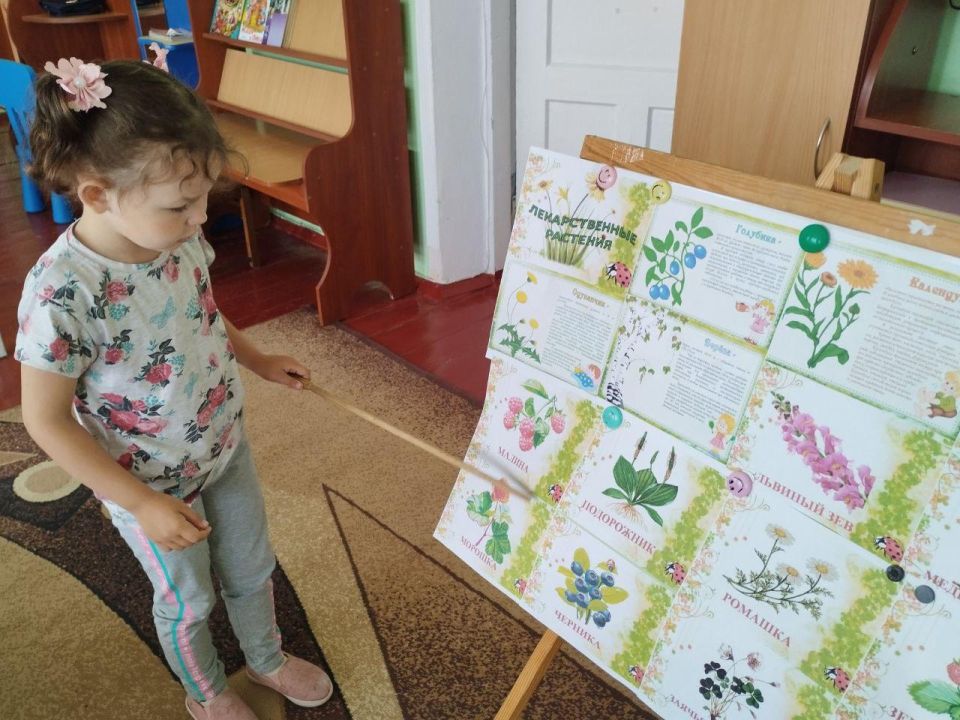 ���� �������� � ������� ����: ���������� � "������� ��������"