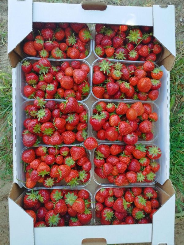 � ��������� ������ ����� ����� ������� ������������� ���������� �����