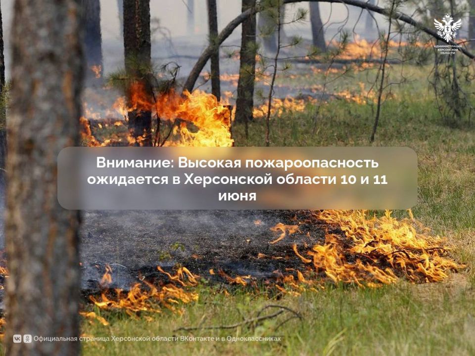 Высокая пожароопасность ожидается в Херсонской области 10 и 11 июня