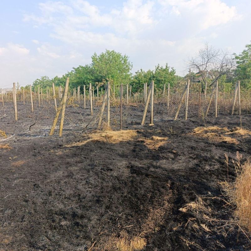 � ���� �������� ������� ������ �������� �����, ������� �������� �� ����� �����������