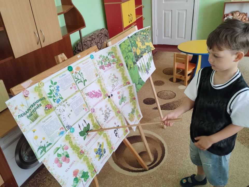 День растений в детском саду: знакомство с "Зеленой аптечкой"
