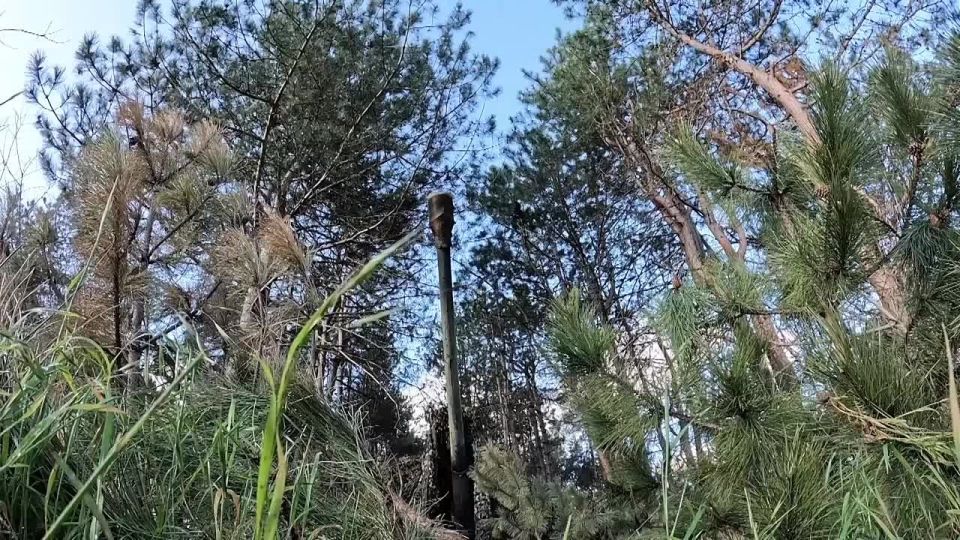 �������� ������: ������ ������� � ����� ���� ����� ���������� ���