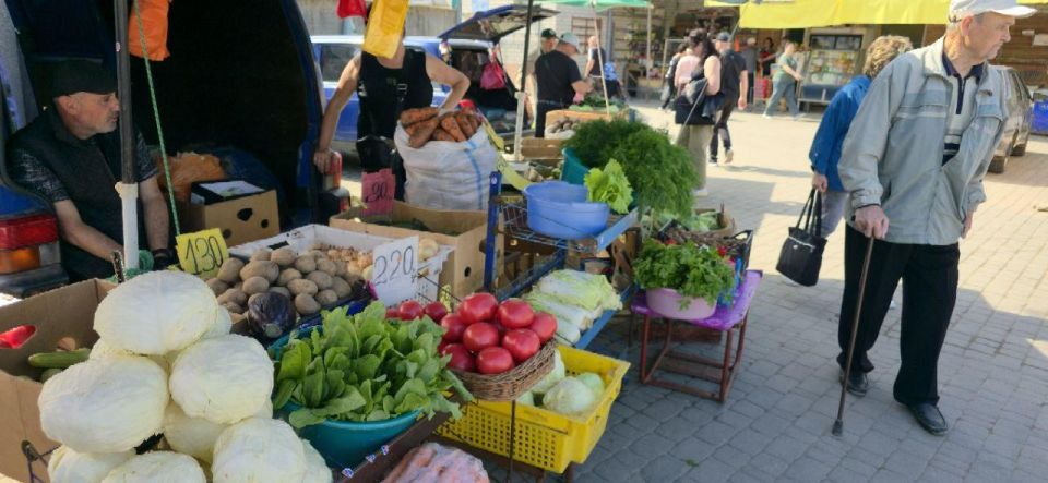 ���� �� ������������ ���������: ������������ � ��������