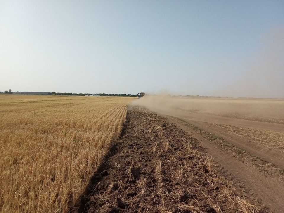 В селе Дудчино обновили минерализованные полосы