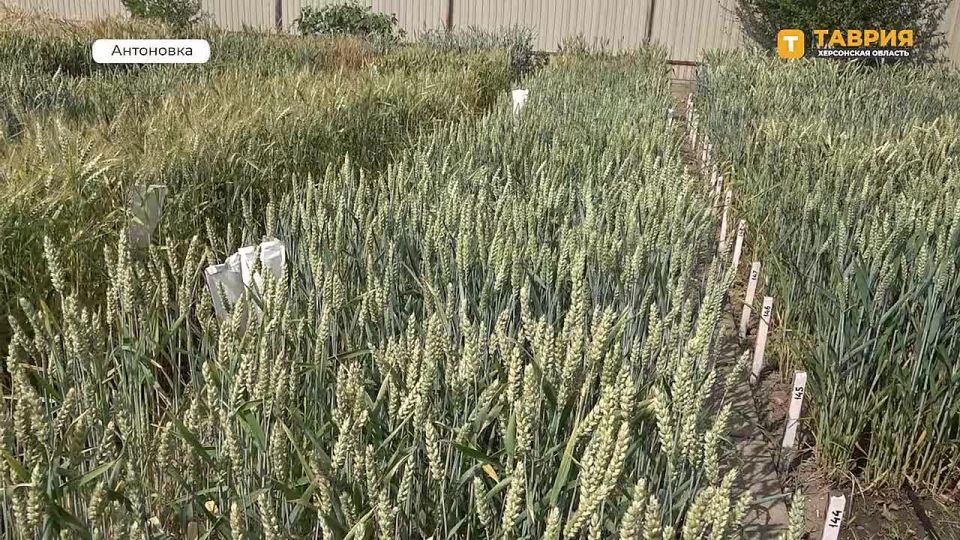 � ��������� ���������� �����������, ����������� ��� ����