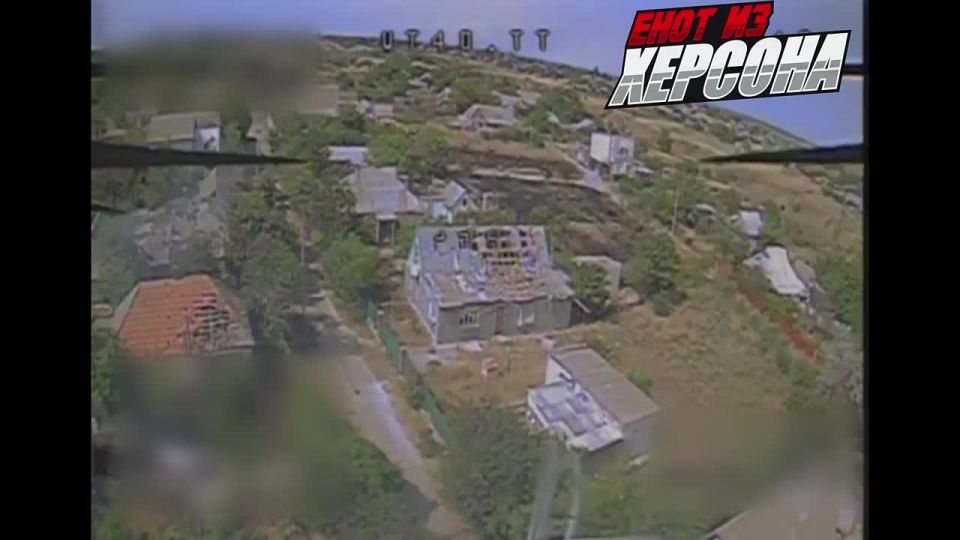 ���� �� �������: ���������� �����������, ���������