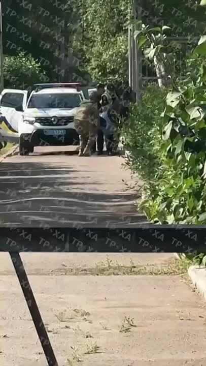 �� ������� ������������ �������������� "�����������"