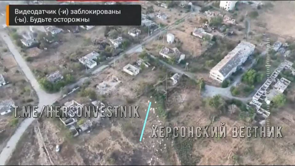 �������������� 49�� �������� ������������ �� ������������ ���������� ������� � �.�. ��������