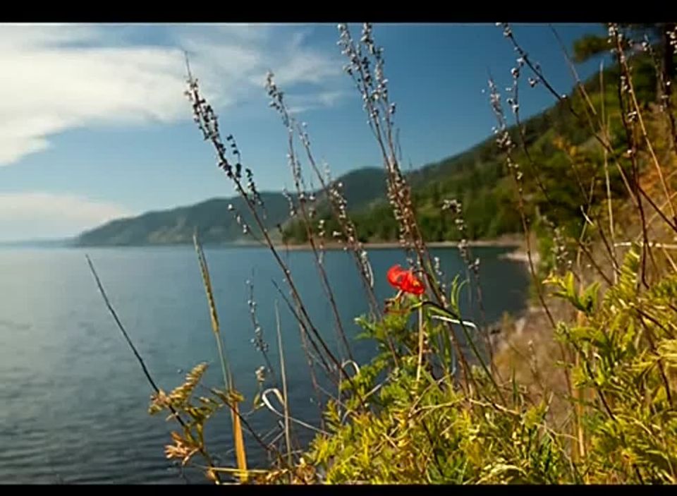 ������� ������� ���������� ���� ������� � ���� ������