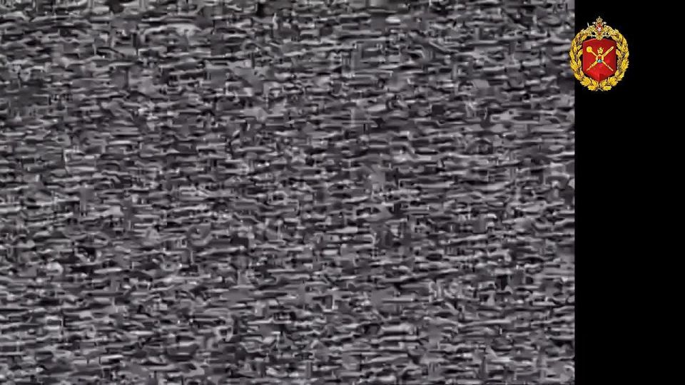 ��������� FPV 49 ����� ������� � ���������� ����� ��� �� ���������� �����������!