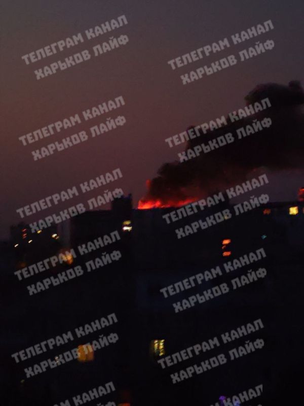 ������� ������ �� ���������� ������� 11-12 ���� 2025 ����