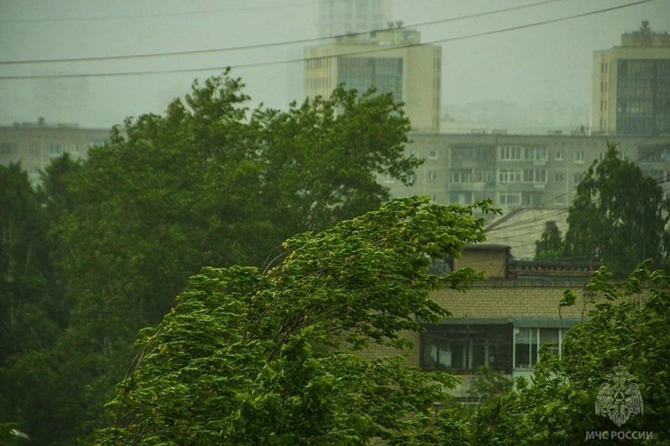 В Херсонской области синоптики предупредили о сильном ветре 13 июня