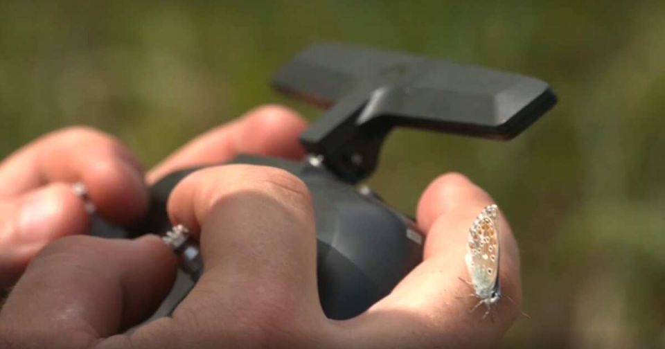 �� �� ���������� ������� �������������� ����� ���, ���������� � ���� �� ������