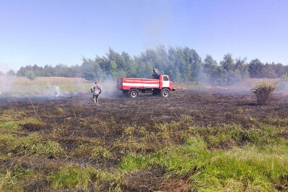 � ���������� ������� ��������� �������� ������ ������� 12 ����