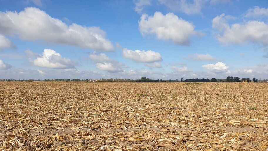 � ���������� ������� � ������ ������� �������� ����� ������������ �������� ��-�� ������