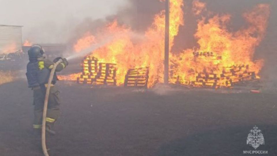 #��������������. �� �������� �����: �������� 3 ����������� ������: