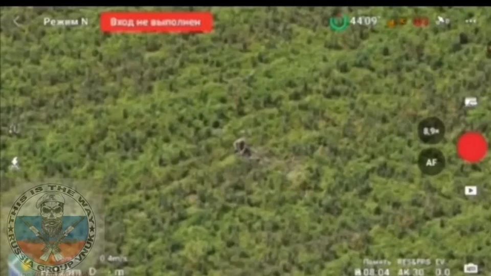 ��������� ������ � ���������