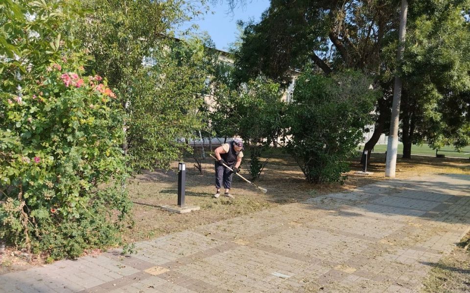 ����������� ������� ��������� ����� ����