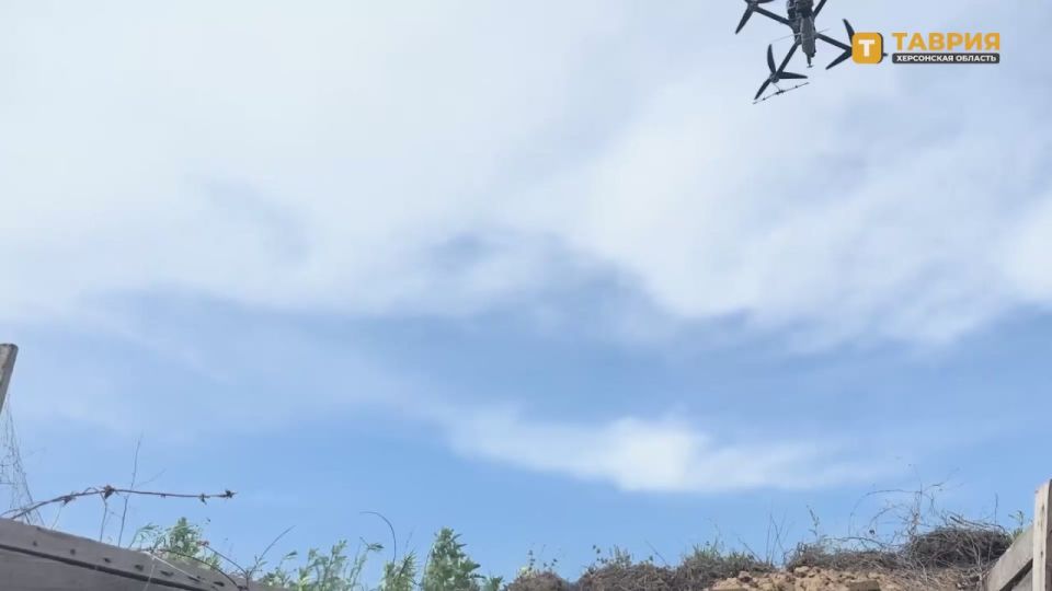 ������ ����������� ����� "�����" �������������� ������ ������ � ���� �� ��������