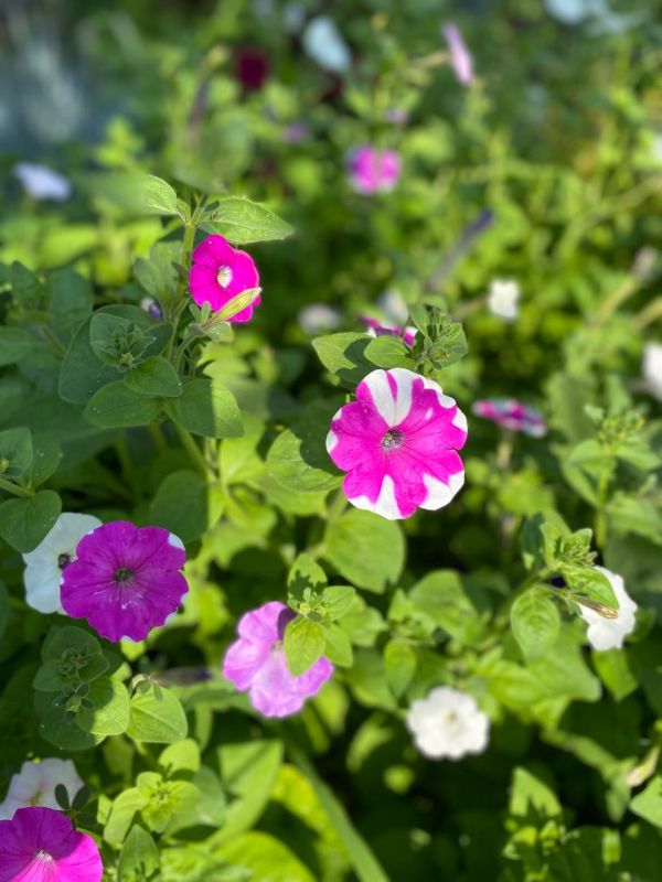 ������ ���� ����!. ������ �������������, ������������� ��������! sd_kakhovka@khogov.ru