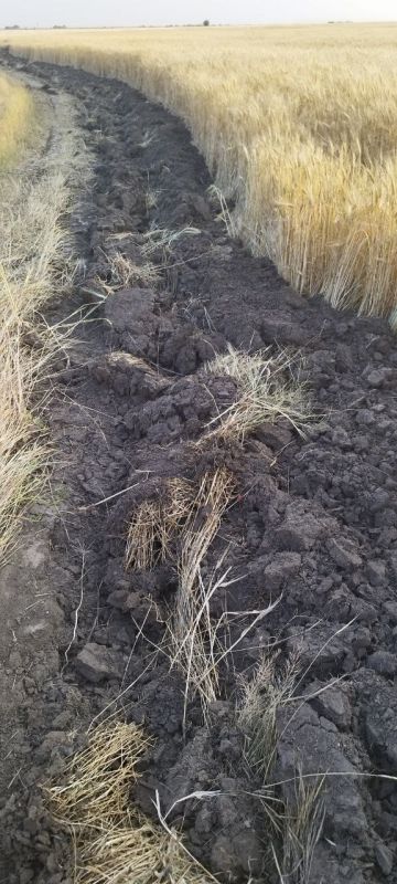 ��� ����������� �������� ������������ � ��������� ��������� ��������������� ���������������� ������