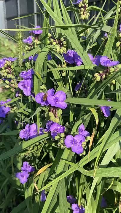 �������� ������� - ������ �� ������