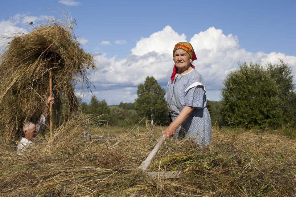 ����� ����������: ���� �������� �������� �������� � ������ � ���������� �������