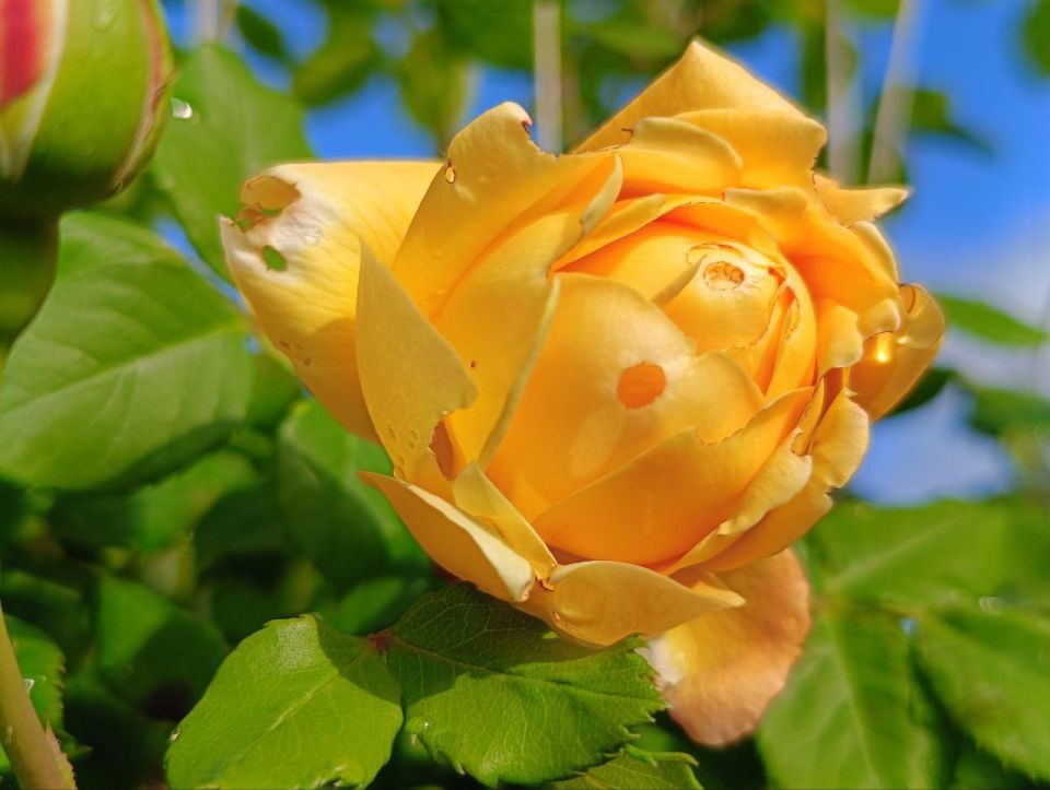 14 ���� �� ���� ���� ��������� ������������� ���� ������� � ���� ������ �����