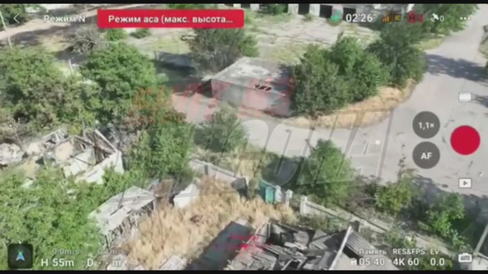 ���� �� �������: ������������ �� �������������� ������������