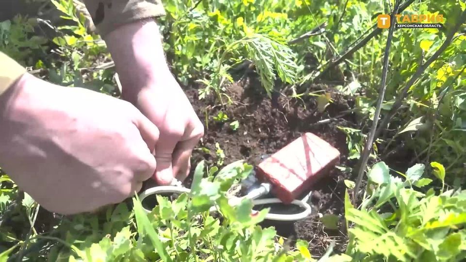 ������ ��������������� ���������� ��� ����� ������ �� �������������� ������� ������� � ���������� ����� � ����� ������� ���������������