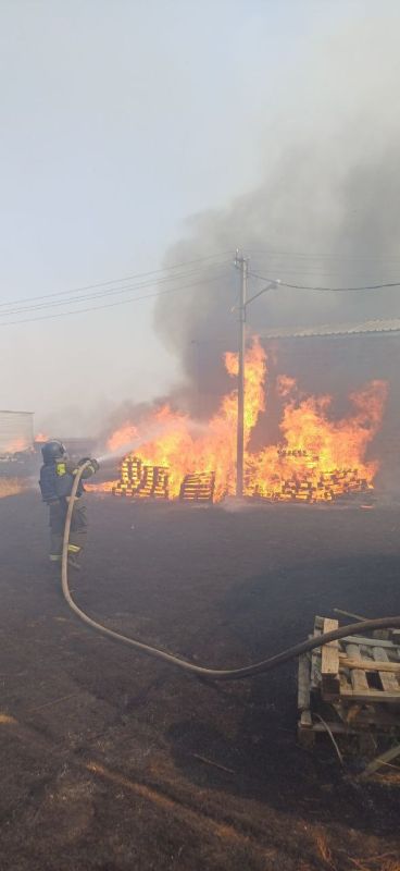 ����� � ������ ����������� 11-� �������-������������ ����� ������� �� ������