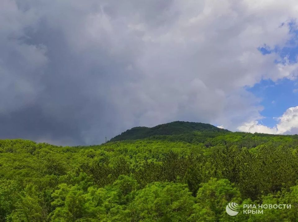 ������ �� ����� ����������� ������