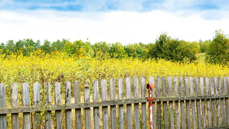 ��� ���� ������. ������� ���������, ��� ������ ������������ ����� ��� ������ ������������